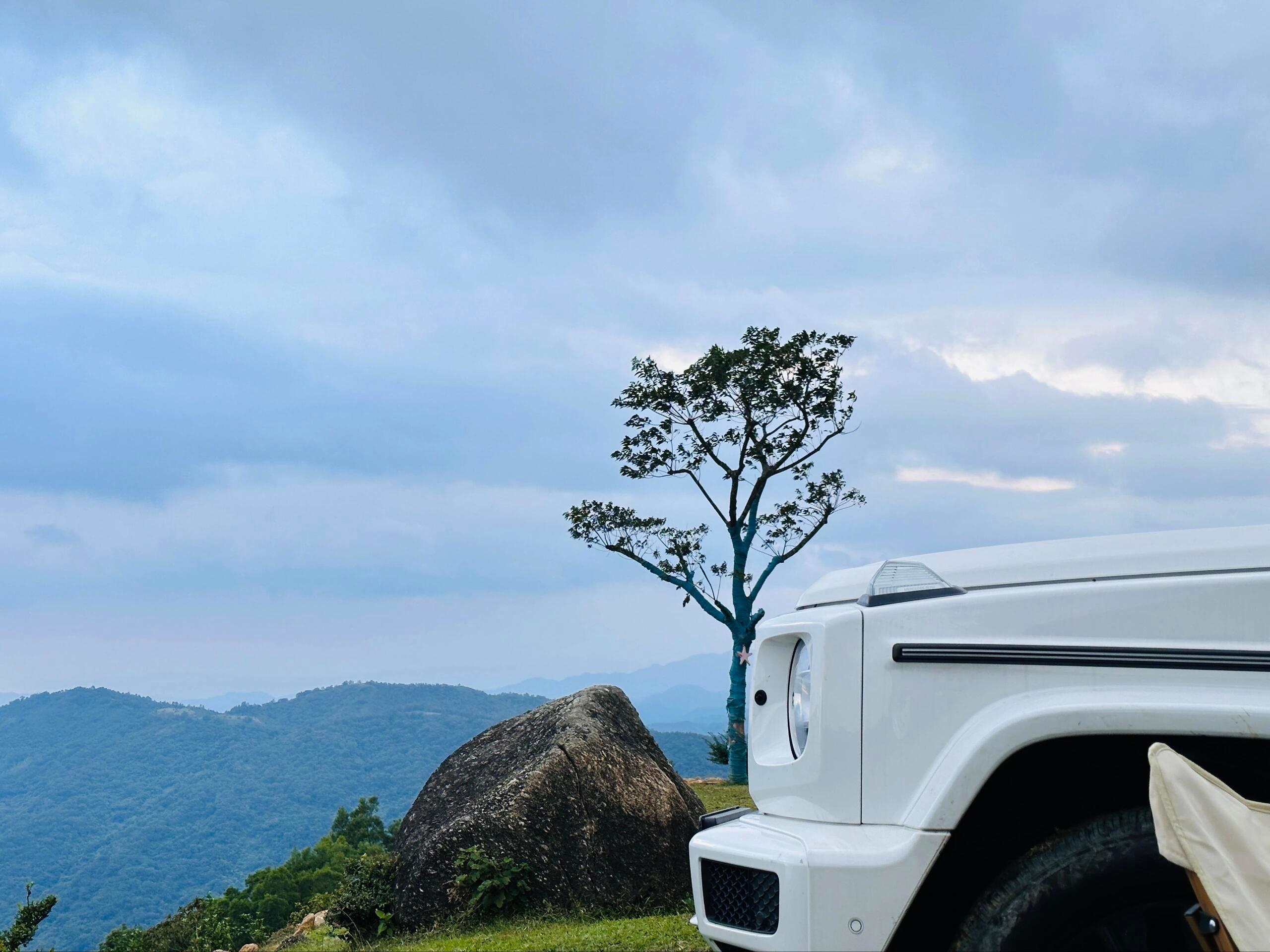 二手奔驰 奔驰G级 白色/鲸鱼黑 2022款 G 500