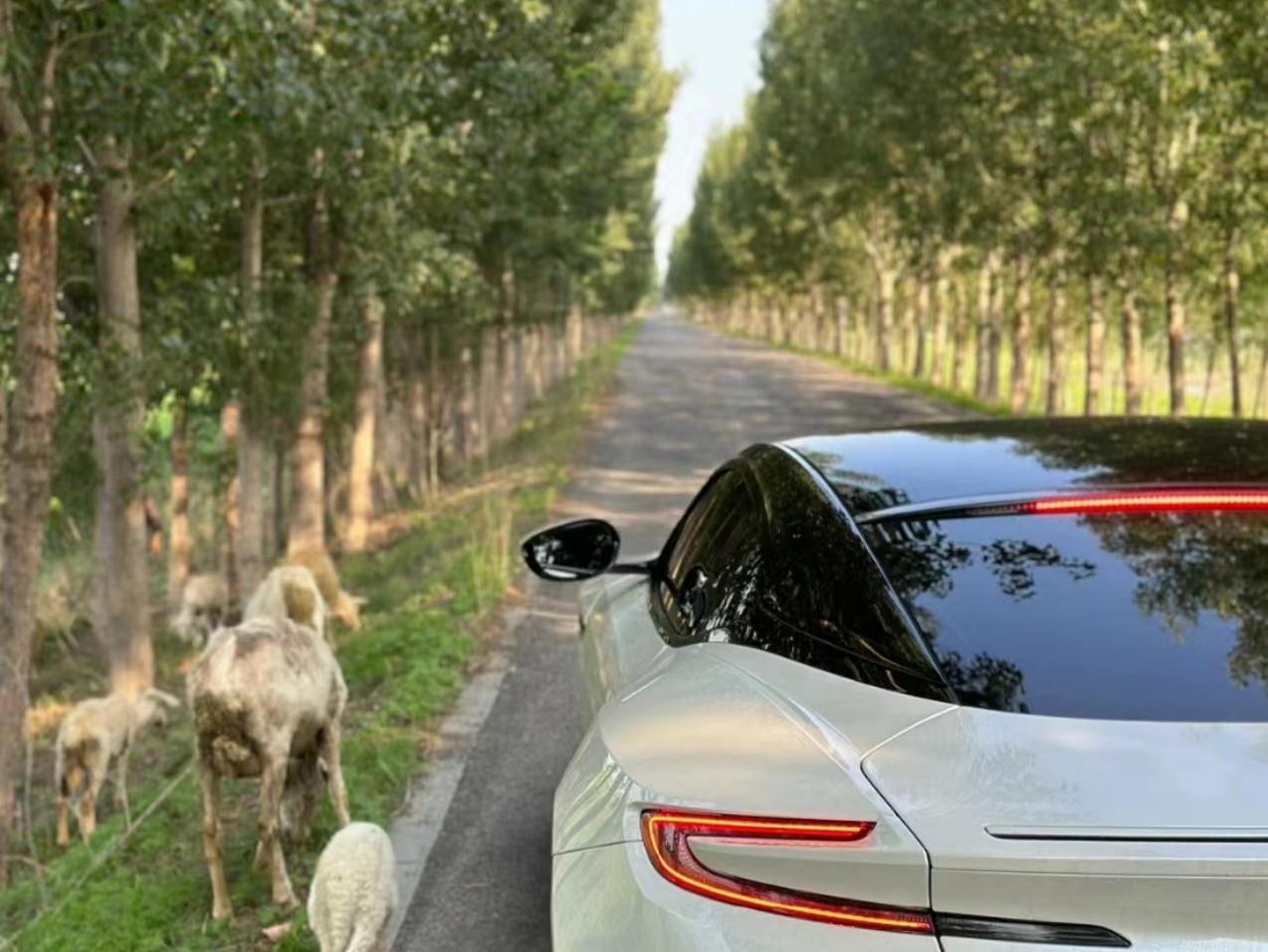 二手阿斯顿·马丁 DB11 白色/紫色 2019款 4.0T V8 Coupe