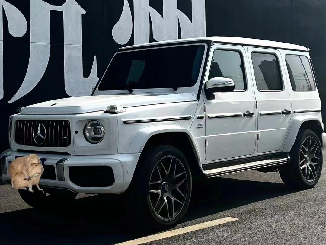 二手奔驰 奔驰G级 白色/黑色 2023款 G500