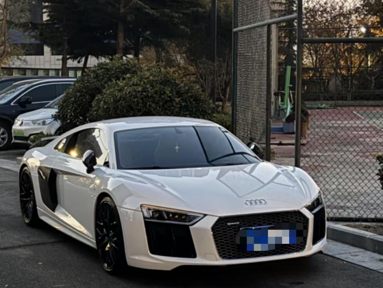 二手奥迪 R8 白色/红色 2016款 V10 Coupe Performance