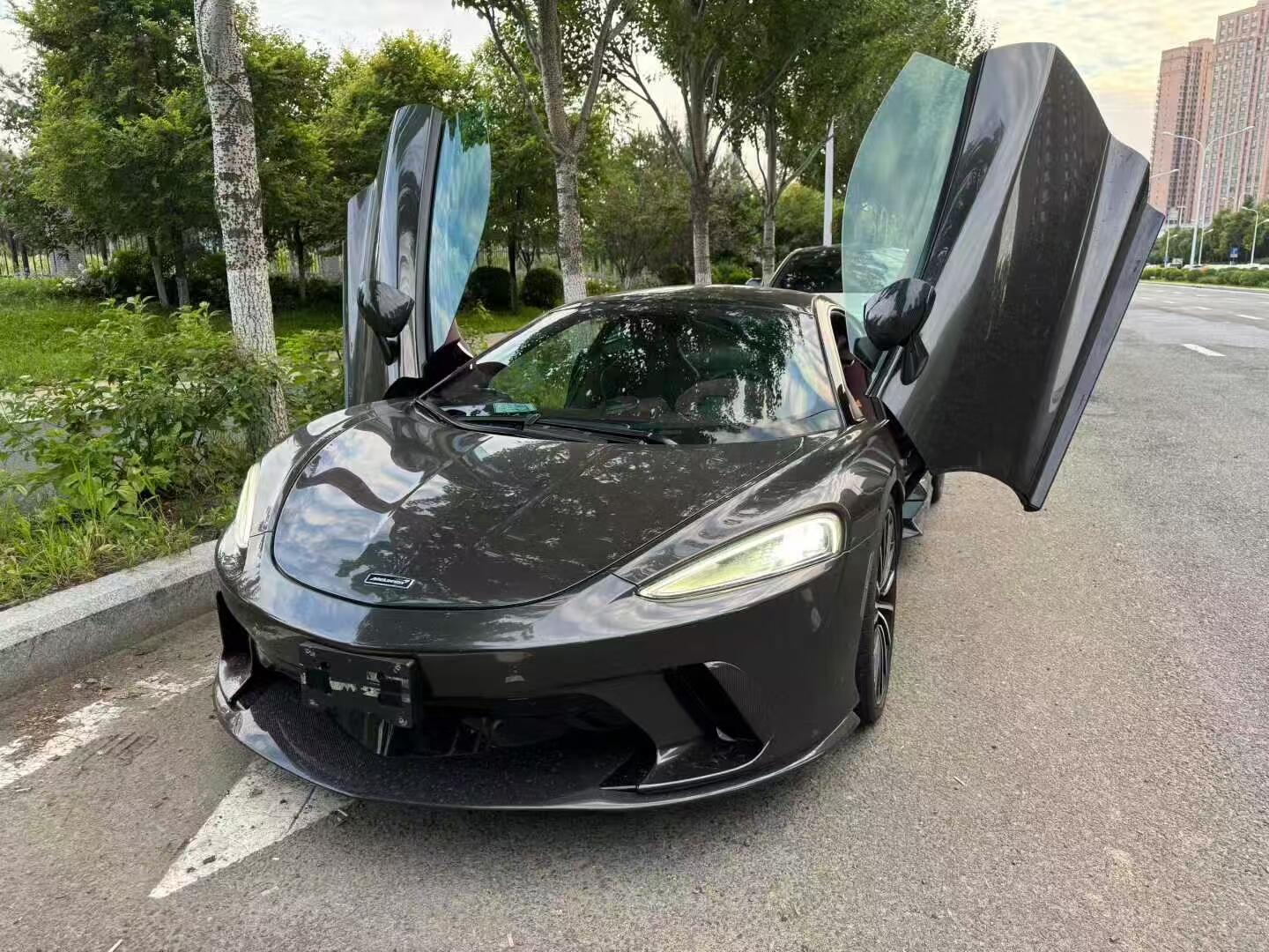 二手迈凯伦 迈凯伦GT 灰色/红色 2019款 4.0T 标准型