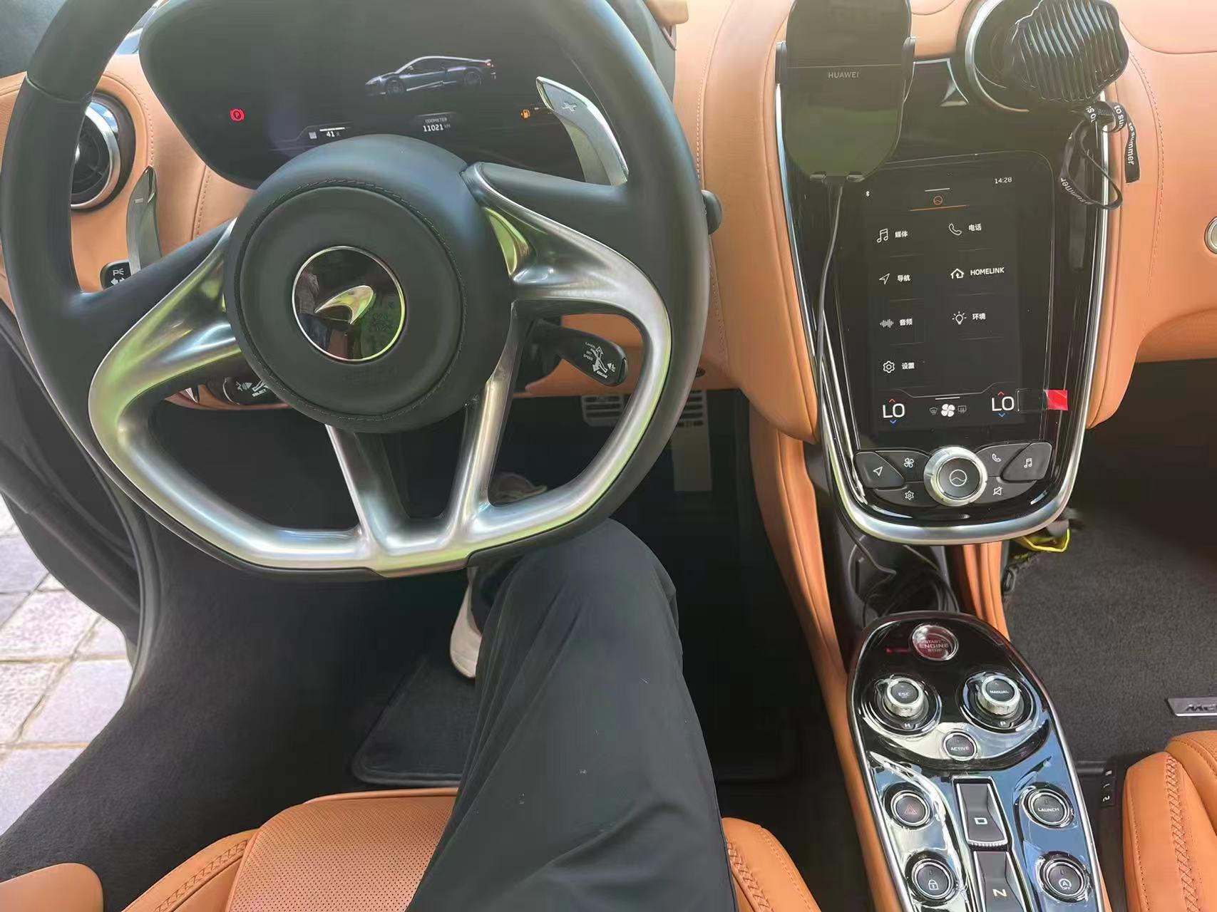 二手迈凯伦 迈凯伦GT 绿色/棕色 GT  中规版