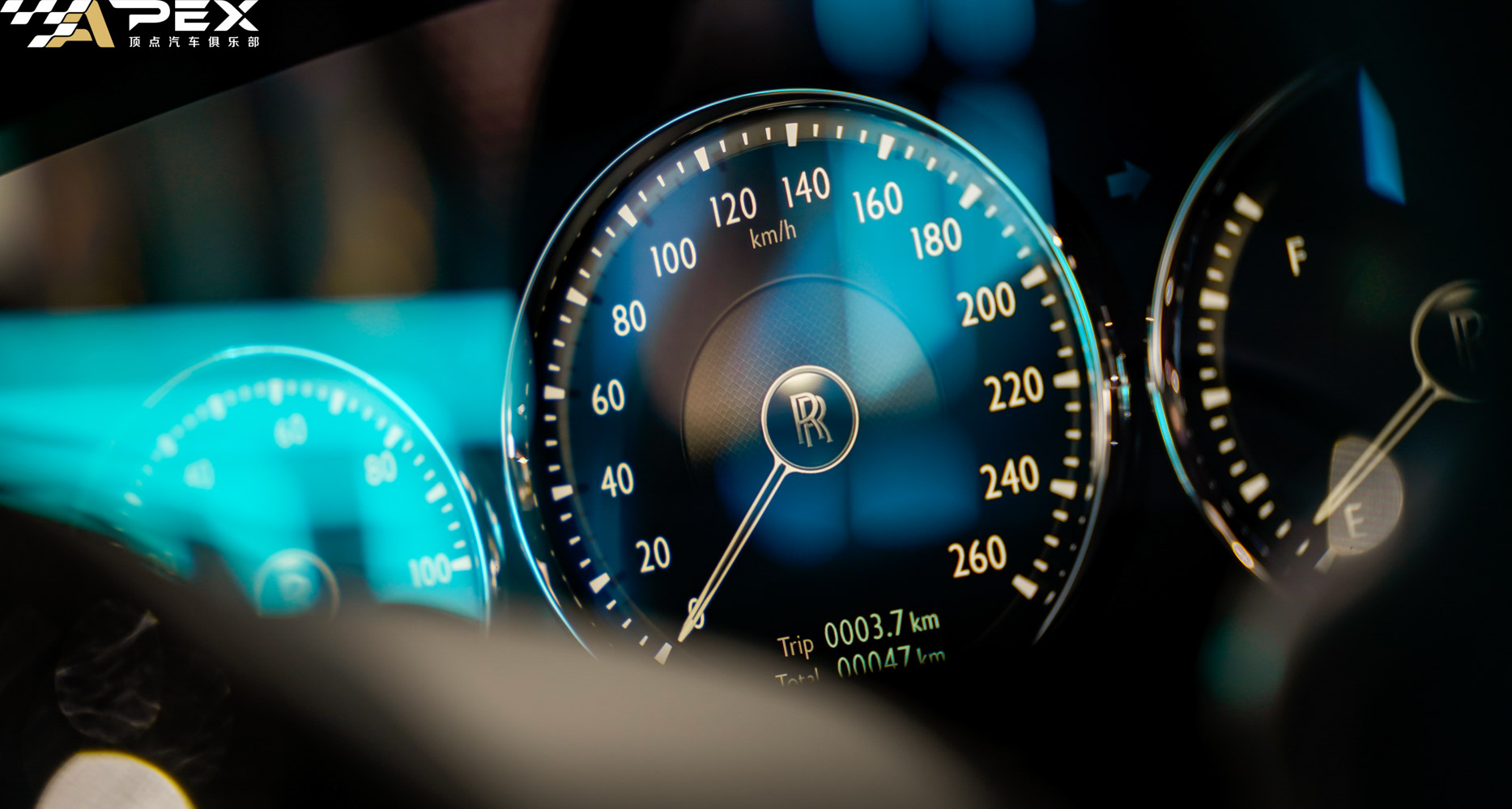 解读古思特:集相貌与能力于一身