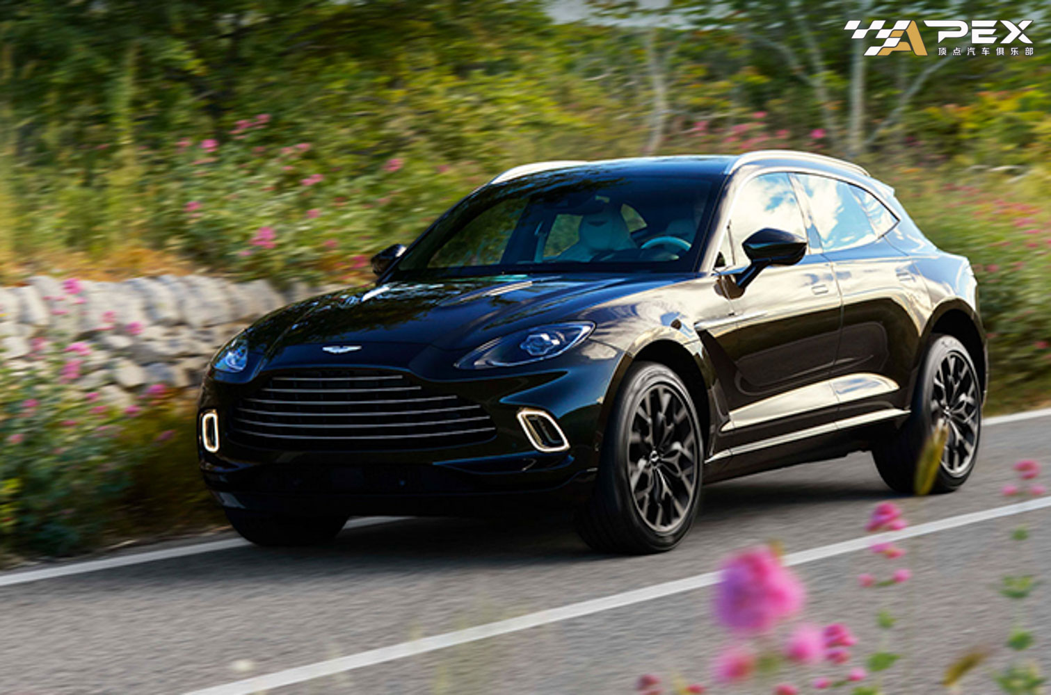 2021年20款大型SUV，哪款最值得购买