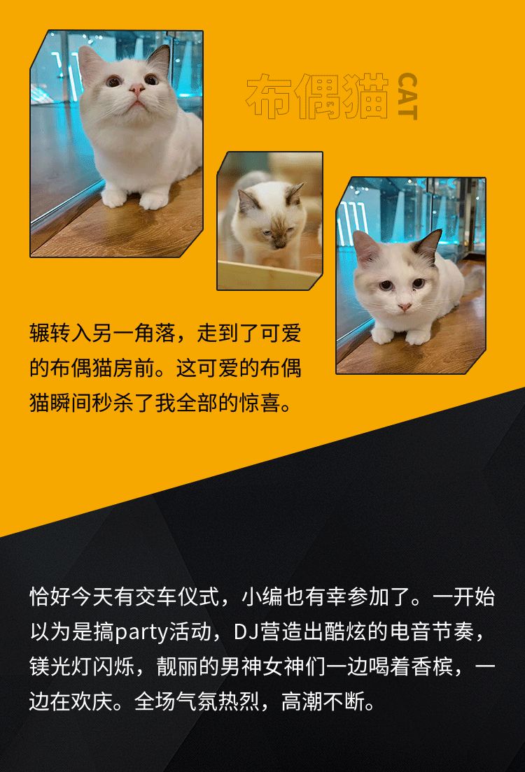 探店|国内首家超豪华车网红展厅又红又飒的秘密原来在这里